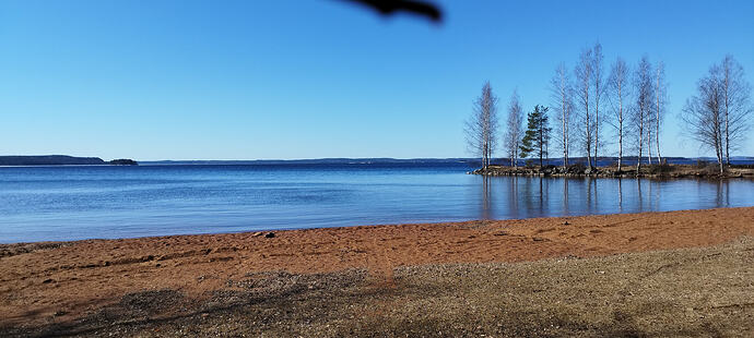 IMG_20260408_124728