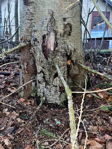 7785369a-3010-4391-82e2-61f34fbc5cf4