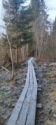 IMG_20251223_120900