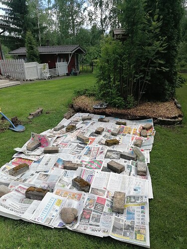 uusi perennapenkki 10.6.2024 1