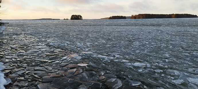 IMG_20241209_133858