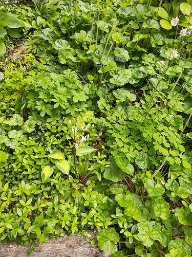 IMG_20250623_161953069_HDR