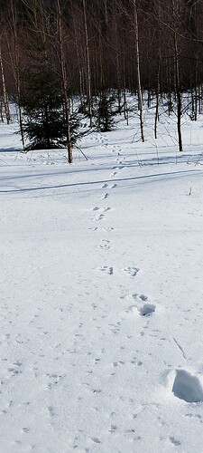 IMG_20250322_142002