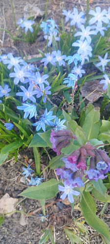 IMG_20260427_155059