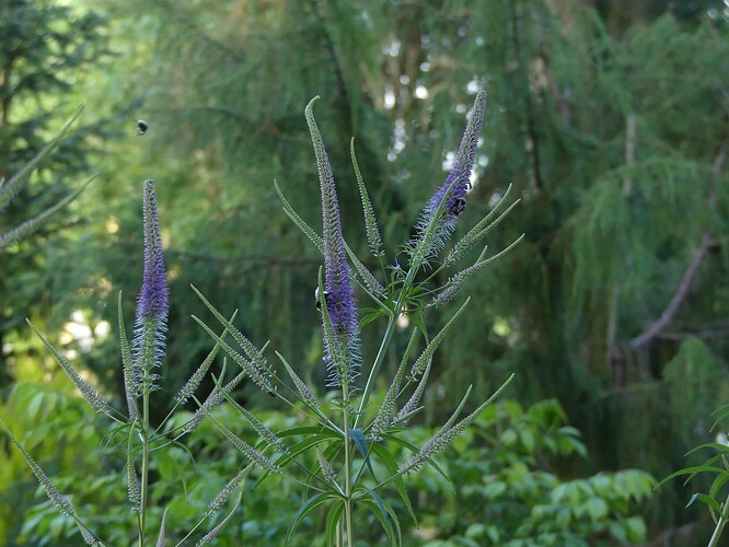P1160813