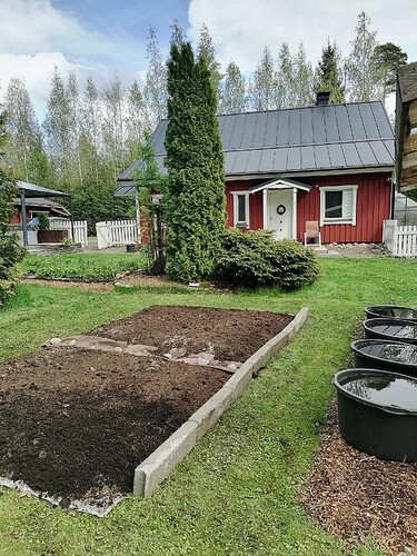 Uusi perennapenkki pihaan 25.5.2025 6