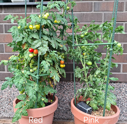 e1f3dee3-4379-4a0d-966f-7e39aa8a5365-1_all_15090