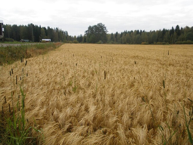 FB_IMG_1756617406034