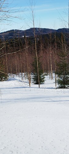 IMG_20250322_142012