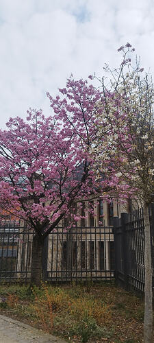 IMG_20260320_093946