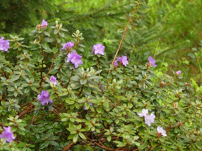 P1130486