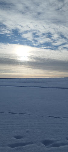 IMG_20260211_135348