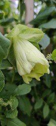IMG_20250314_133039