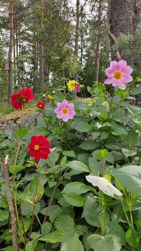 IMG-20230823-WA0028