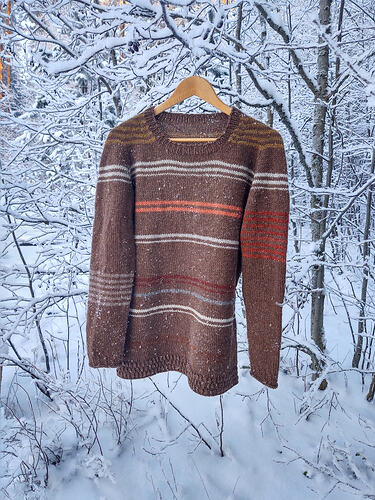 IMG_20260106_111018000_HDR