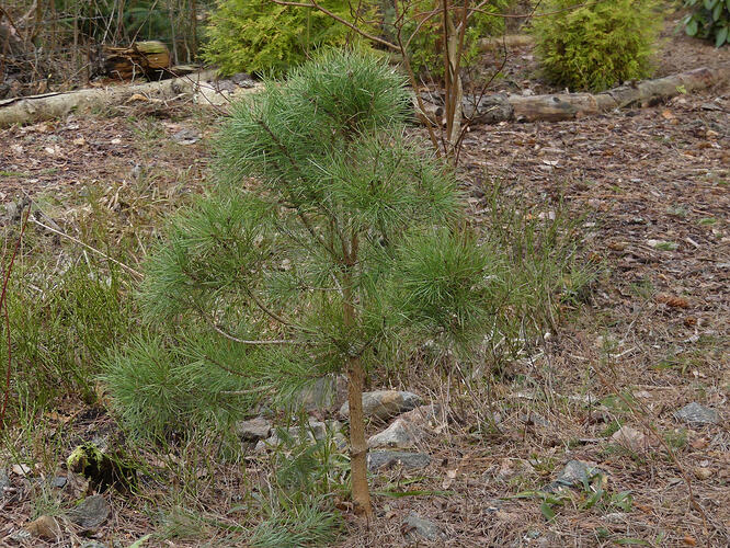 P1170947