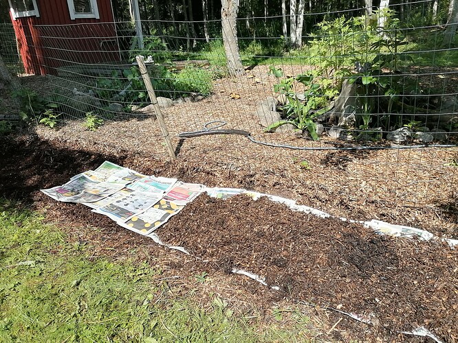 uusi reunapenkki 20.6.2025 1