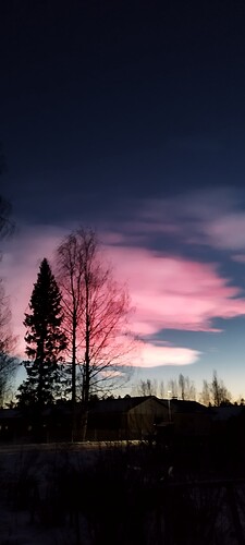 IMG_20250118_162944