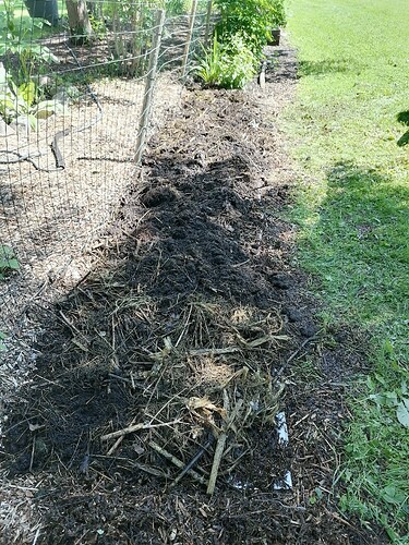 uusi reunapenkki 20.6.2025 3