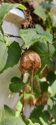 IMG_20250812_145012