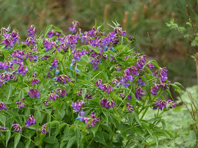 P1130341