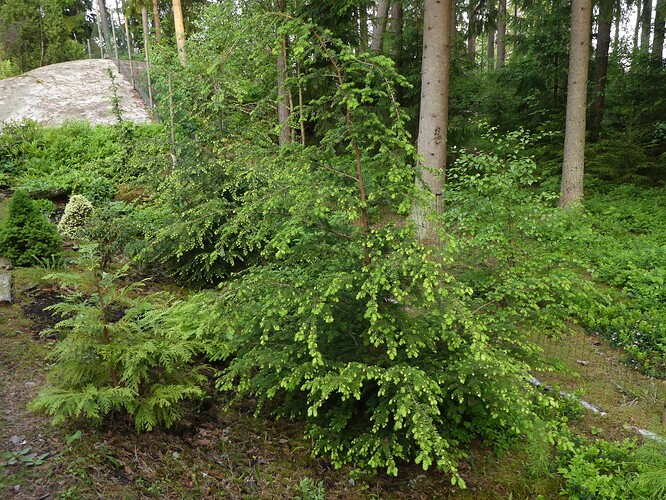 P1140792