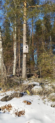 IMG_20250216_142139|22mitään 5x500