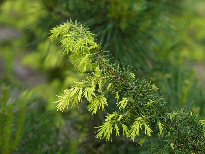 P1140732