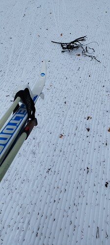 IMG_20250320_110438_BURST1