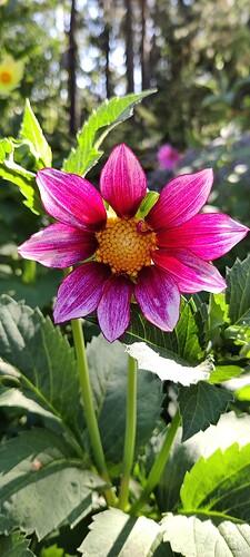 IMG_20250725_095452