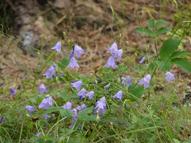 P1170157