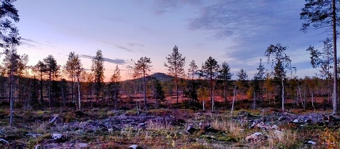 IMG_20240913_203227474~2