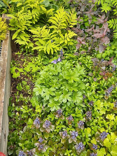 IMG_20250623_161725835_HDR