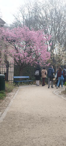 IMG_20260320_093911