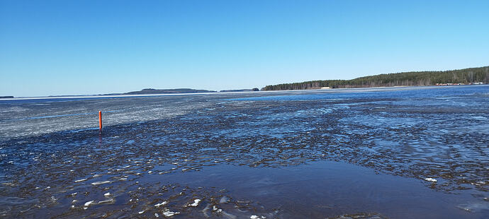 IMG_20260408_131412