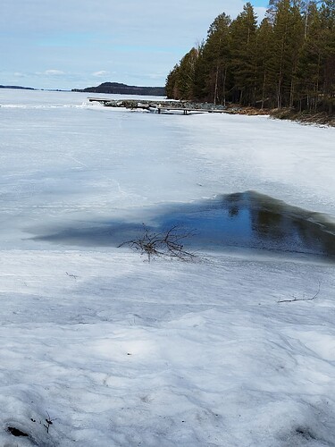 IMG_20250406_123052