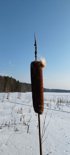 IMG_20250226_140353
