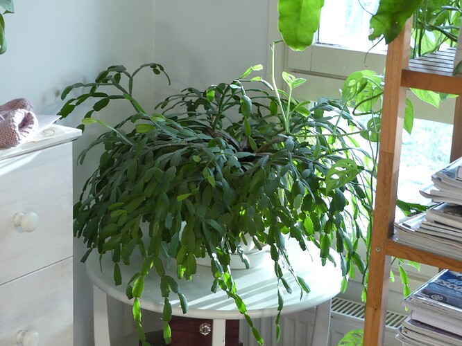 P1120637