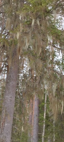 IMG_20250320_110503