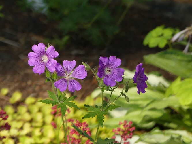 P1160007