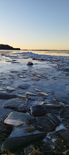IMG_20241215_132840