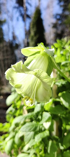 IMG_20250413_142859