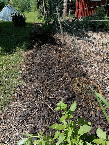 uusi reunapenkki 20.6.2025 4