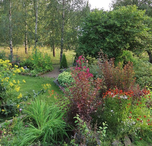 takapihaa terassilta päin nähtynä