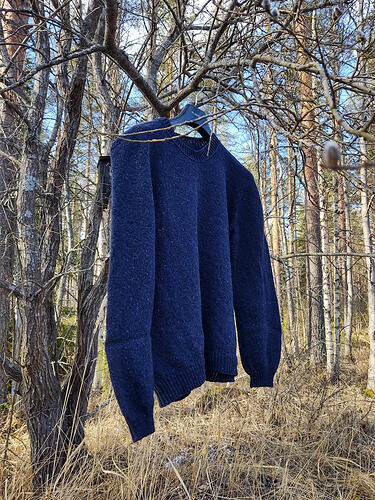 IMG_20260328_144557715_HDR