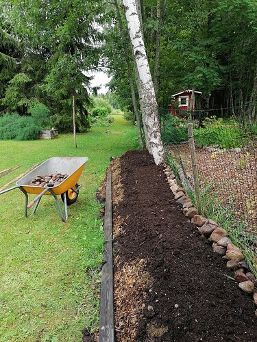 marjatarhapuolen perennapenkin valmistelua 4.8.2023 2