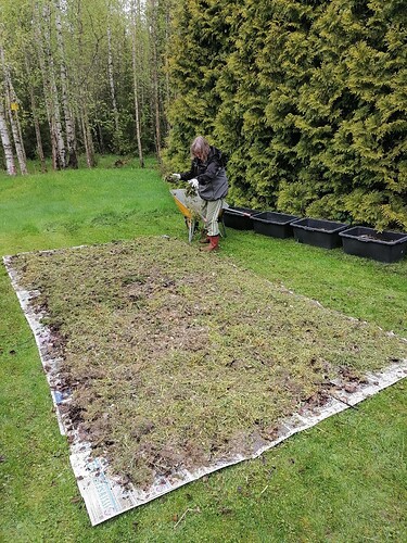 Uusi perennapenkki pihaan 25.5.2025 2