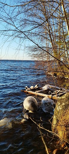 IMG_20241211_124937