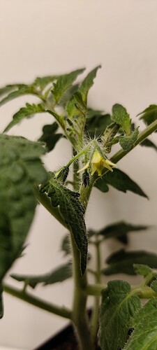 IMG_20250102_192120