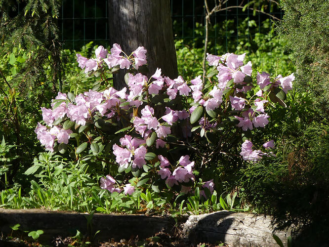 P1180479